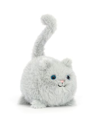 Kitten Caboodle Grey