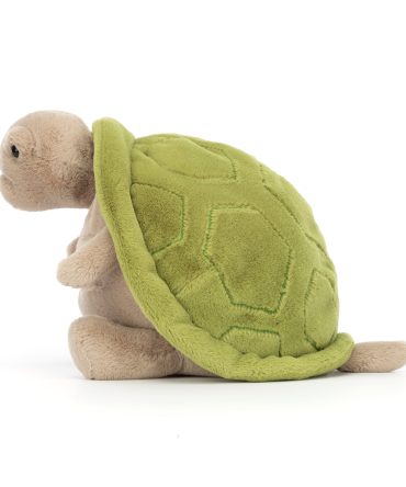 Timmy Turtle