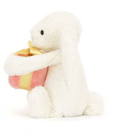 Bashful Bunny with Present Little