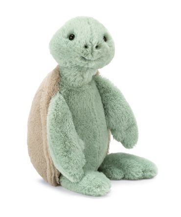 Bashful Turtle Original (Medium)