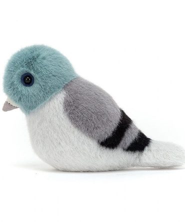 Birdling Pigeon