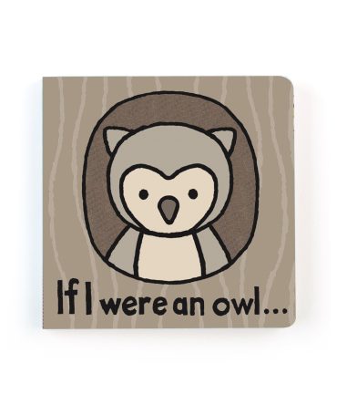 If I Were an Owl Book