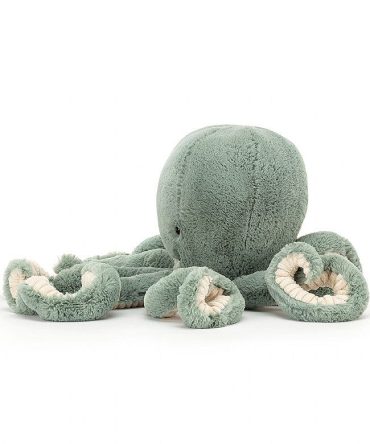 Odyssey Octopus Little