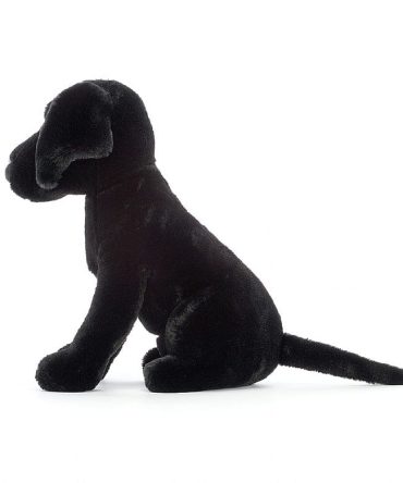 Pippa Black Labrador