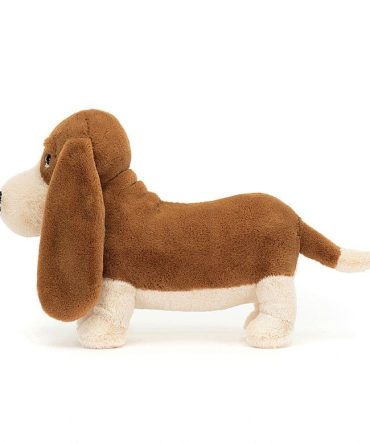 Randall Basset Hound