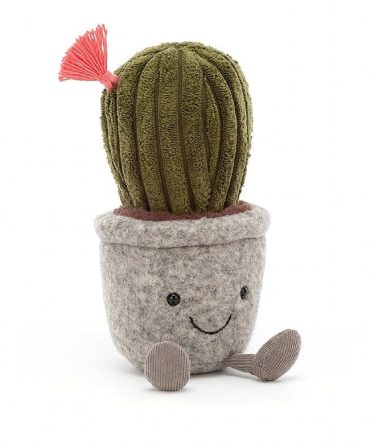 Silly Succulent Barrel Cactus